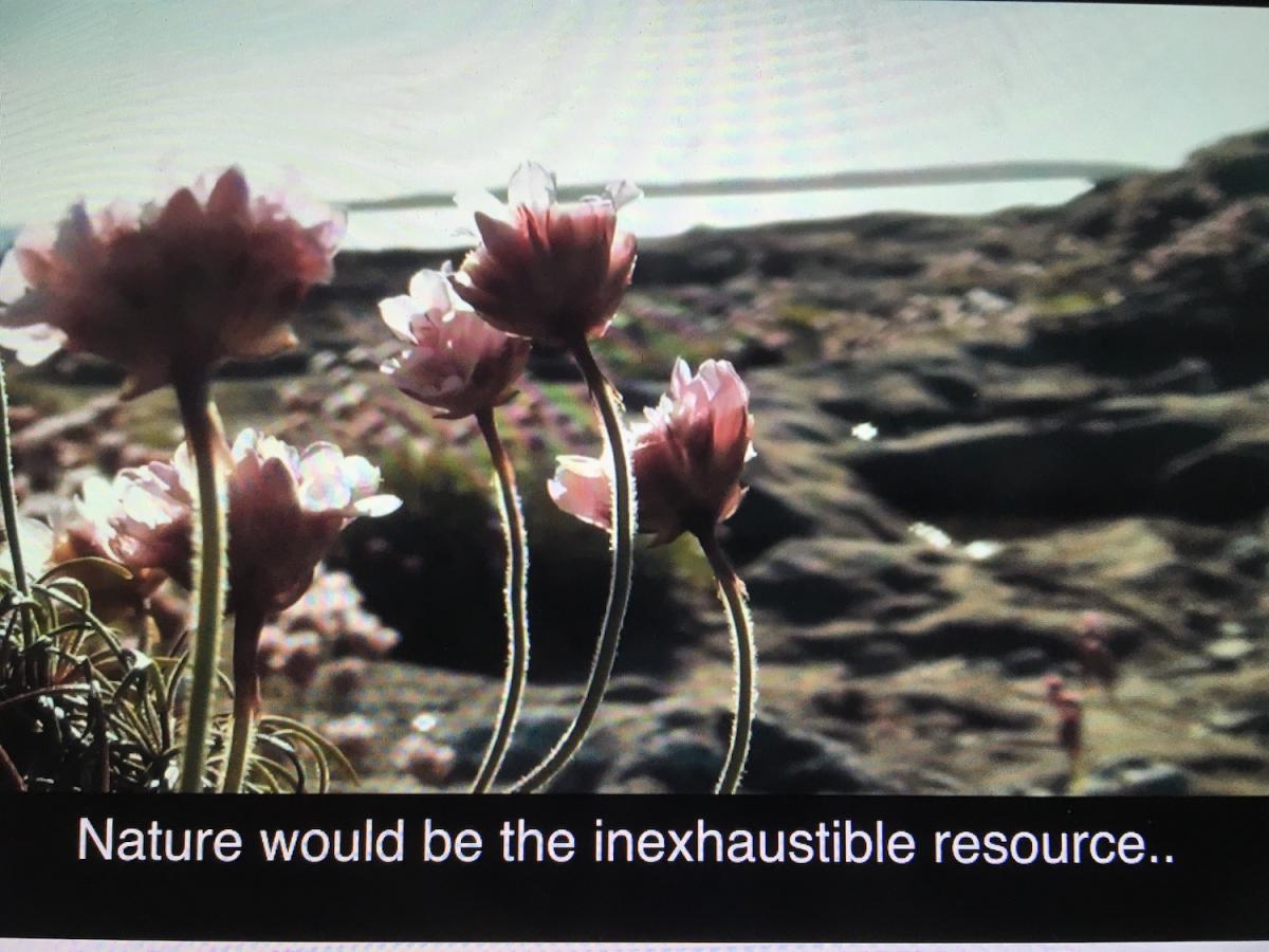 (12)Fergus Daly, The Mirror of Possible Worlds, Ireland, 2020 (12)Fergus Daly, The Mirror of Possible Worlds, Ireland, 2020