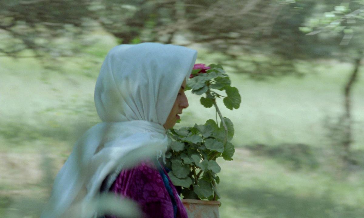 Zire darakhatan zeyton [Through the Olive Trees] (Abbas Kiarostami, 1994)