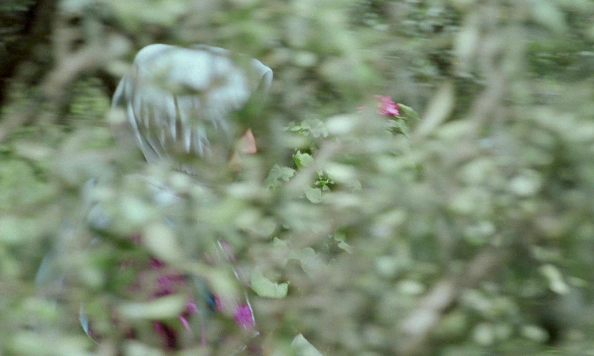 Zire darakhatan zeyton [Through the Olive Trees] (Abbas Kiarostami, 1994)
