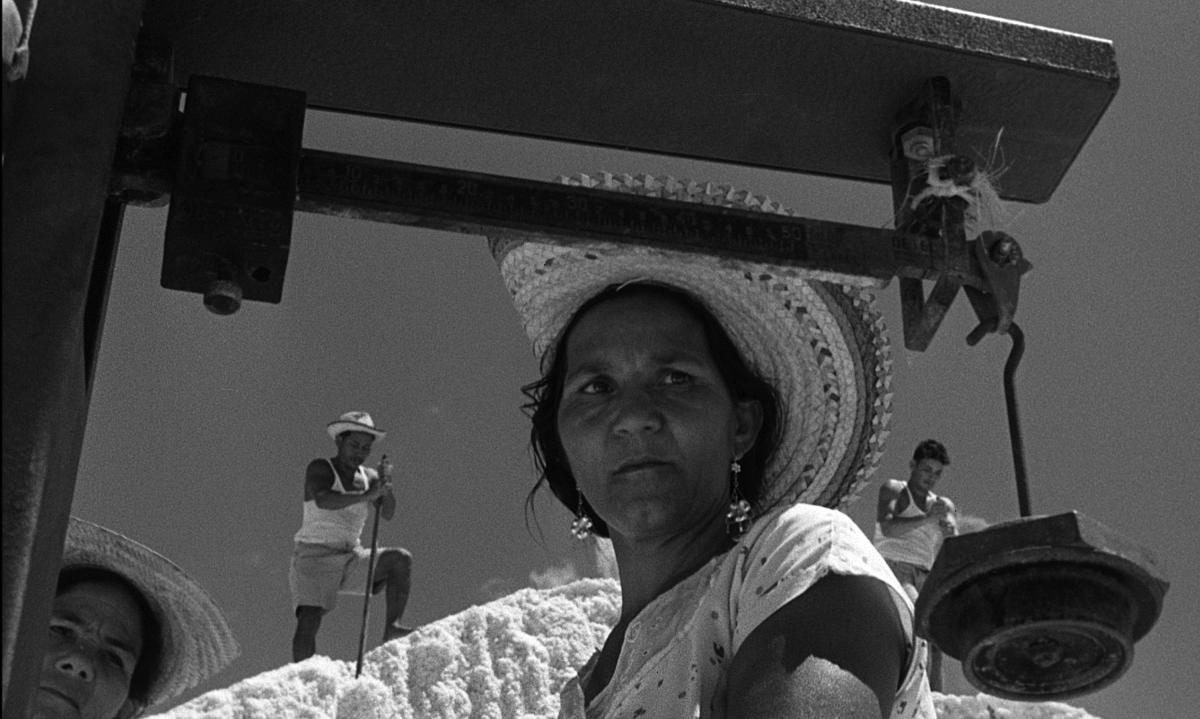 (1) Araya (Margot Benacerraf, 1959) (1) Araya (Margot Benacerraf, 1959)