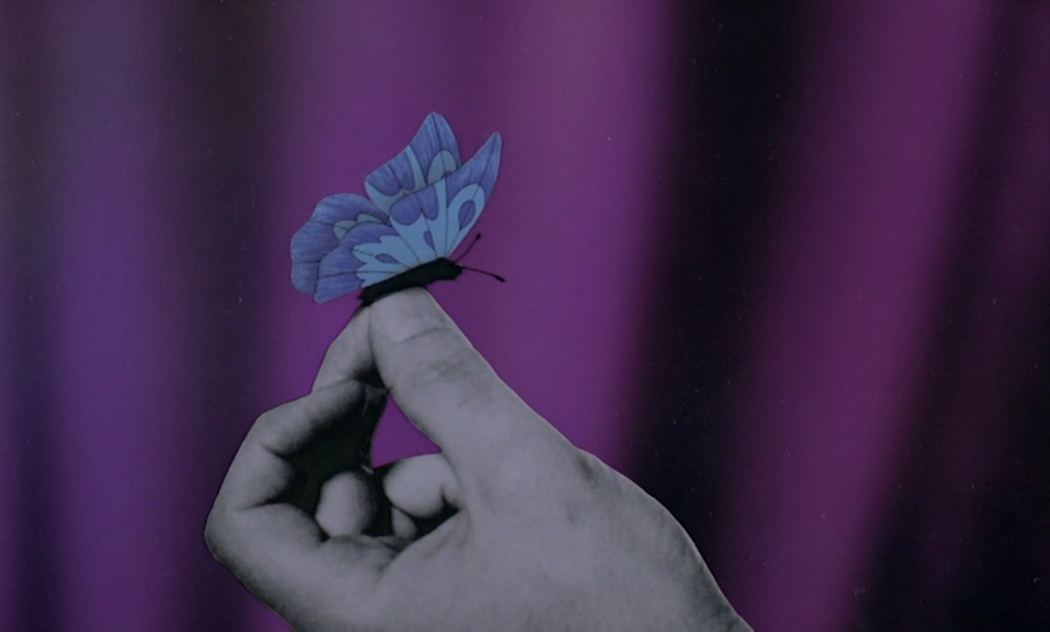 Nachtvlinders (Raoul Servais, 1997)