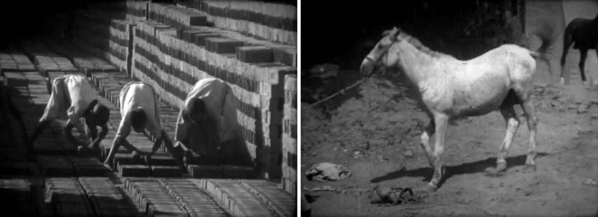 (1) & (2) Horse of Mud (Atteyat Al-Abnoudy, 1971) (1) & (2) Horse of Mud (Atteyat Al-Abnoudy, 1971)