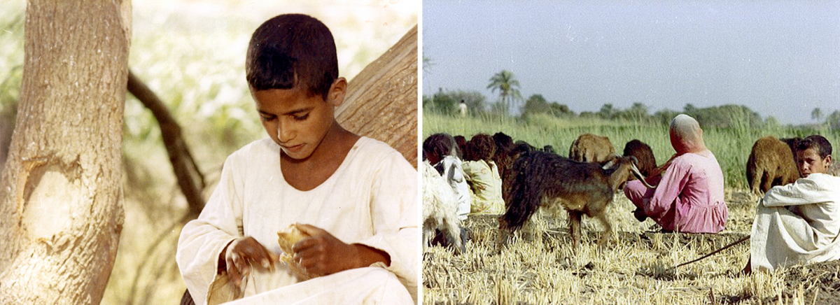 (1) & (2) The Sandwich (Atteyat Al-Abnoudy, 1975) (1) & (2) The Sandwich (Atteyat Al-Abnoudy, 1975)