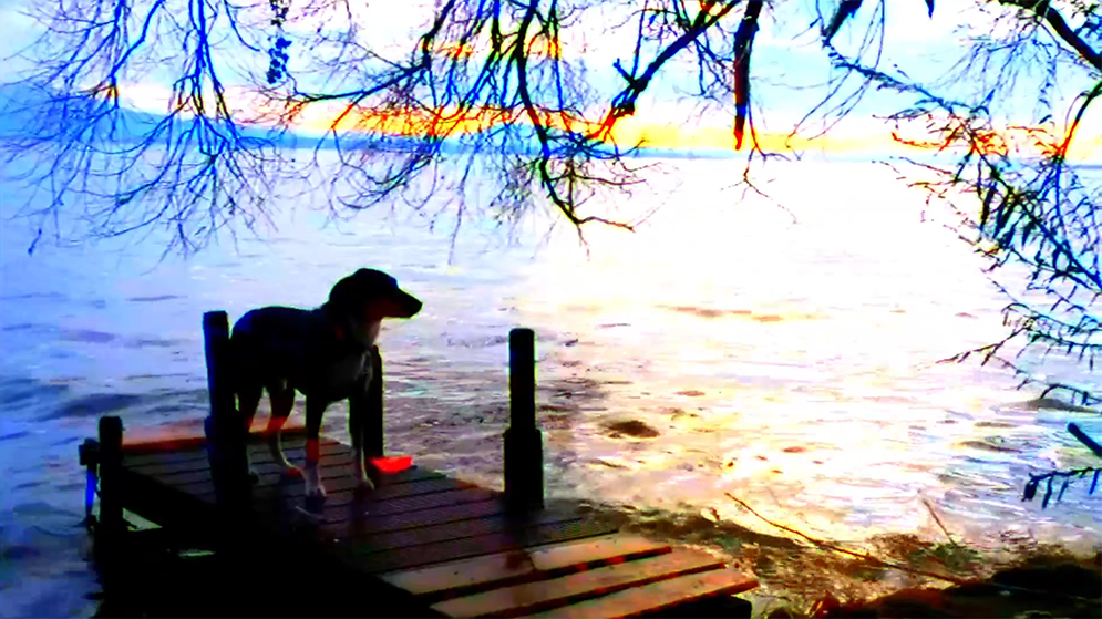 (4) Adieu au langage (Jean-Luc Godard, 2014) (4) Adieu au langage (Jean-Luc Godard, 2014)
