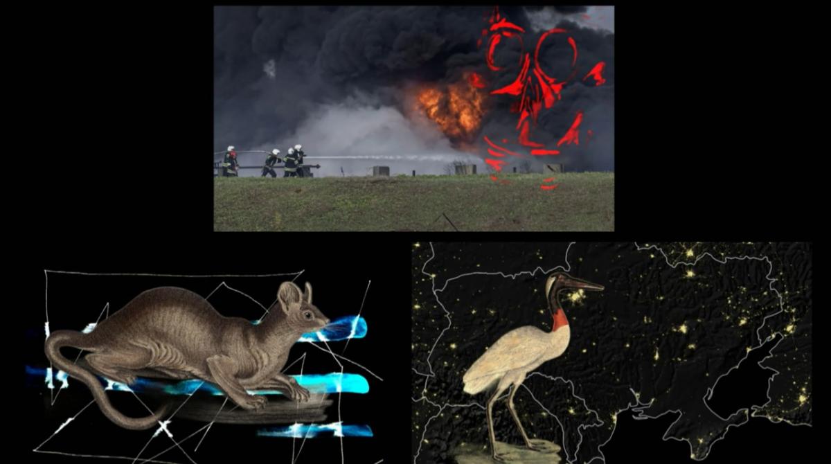 (4) Das Staunen der Tiere / Trauer der Kreatur (Alexander Kluge, 2022) (4) Das Staunen der Tiere / Trauer der Kreatur (Alexander Kluge, 2022)