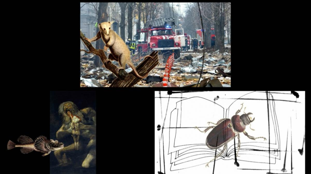 (6) Das Staunen der Tiere / Trauer der Kreatur (Alexander Kluge, 2022) (6) Das Staunen der Tiere / Trauer der Kreatur (Alexander Kluge, 2022)