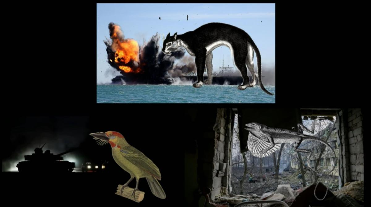 (8) Das Staunen der Tiere / Trauer der Kreatur (Alexander Kluge, 2022) (8) Das Staunen der Tiere / Trauer der Kreatur (Alexander Kluge, 2022)