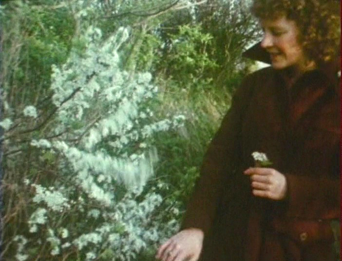 As I Was Moving Ahead Occasionally I Saw Brief Glimpses of Beauty (Jonas Mekas, 2000) As I Was Moving Ahead Occasionally I Saw Brief Glimpses of Beauty (Jonas Mekas, 2000)
