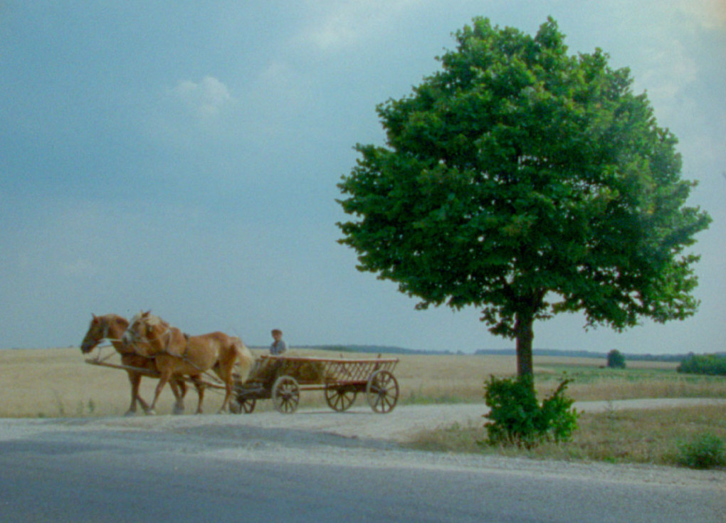 (2) D’Est (Chantal Akerman, 1993)