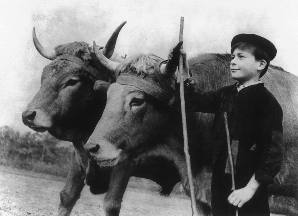 Farrebique ou les quatre saisons (Georges Rouquier, 1946) Farrebique ou les quatre saisons (Georges Rouquier, 1946)