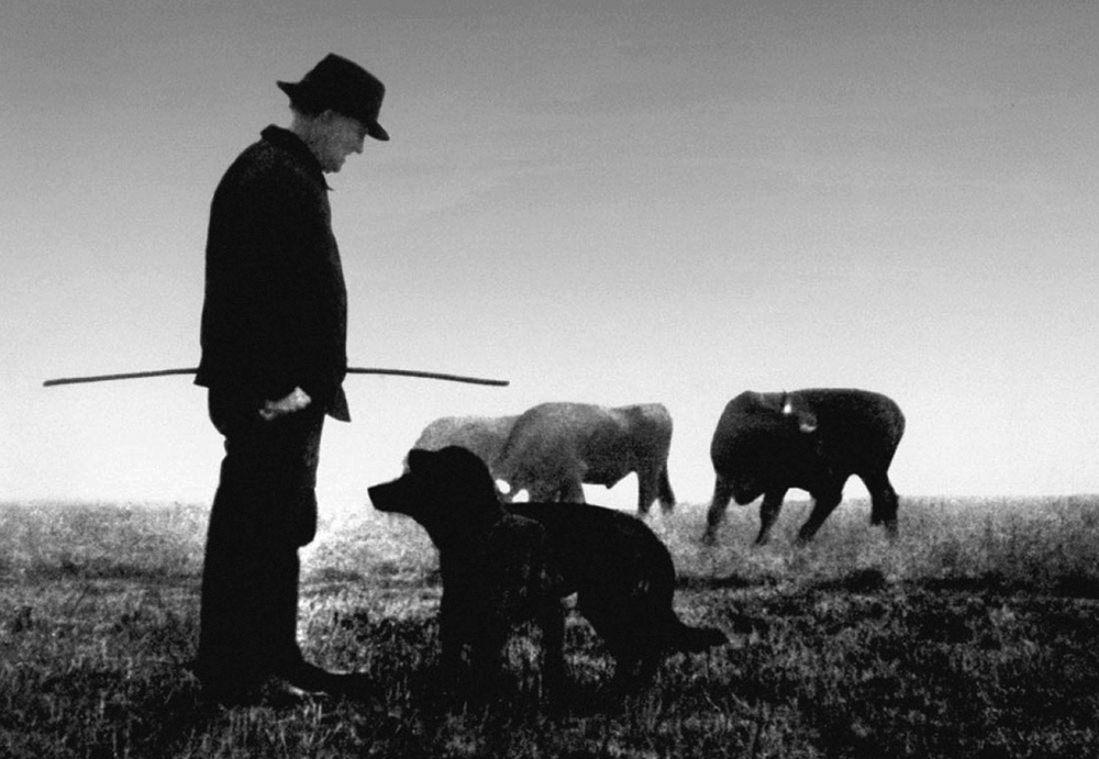 Farrebique ou les quatre saisons (Georges Rouquier, 1946)