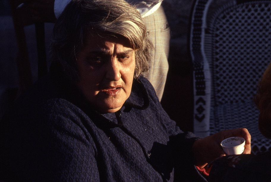 Al Dhakira al Khasba [Fertile Memory] (Michel Kleifi, 1980)