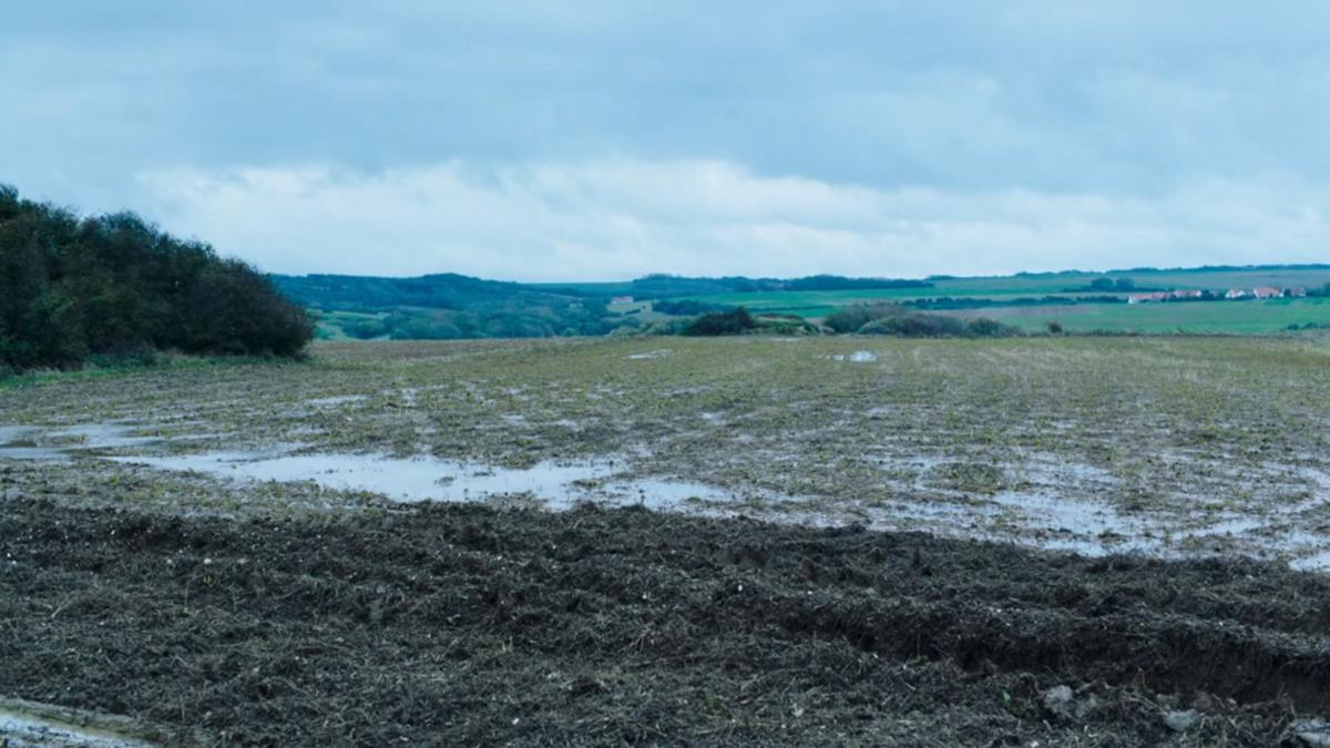 (5) France (Bruno Dumont, 2021)