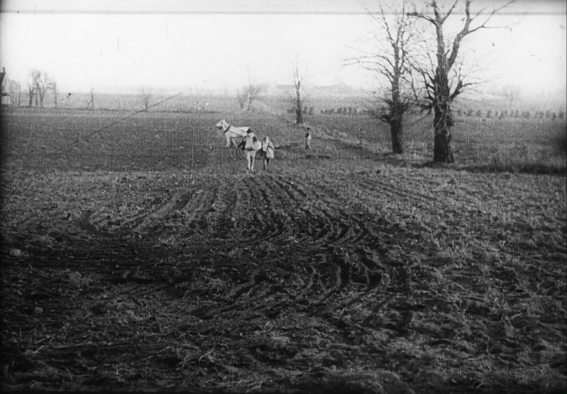 (1) A Corner in Wheat (D.W. Griffith, 1909)