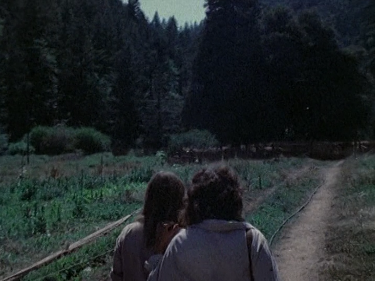 (6) Milestones (John Douglas & Robert Kramer, 1975) 21