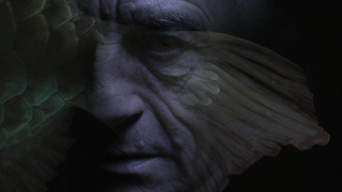 Malgré la nuit (Philippe Grandrieux, 2015) Malgré la nuit (Philippe Grandrieux, 2015)