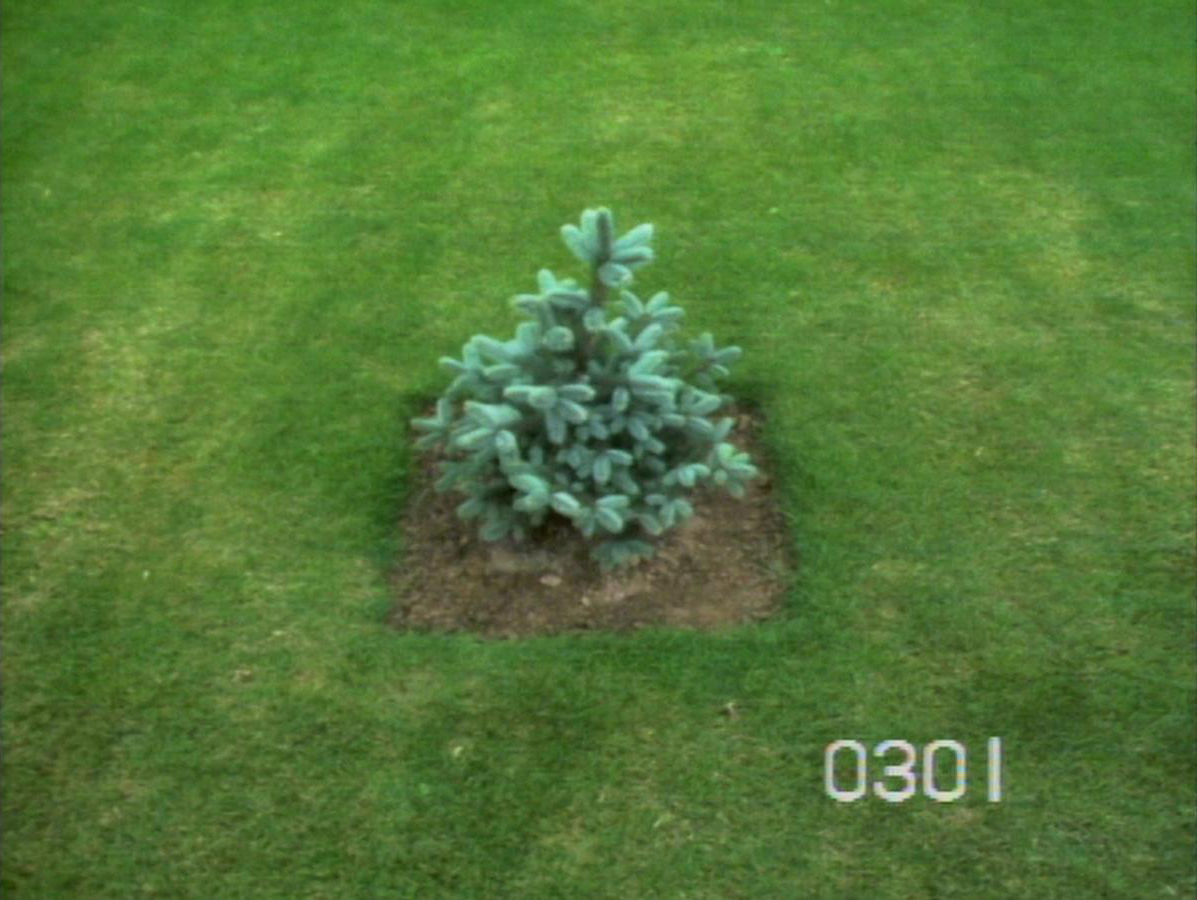(3) Rijksweg N1 (Jef Cornelis, 1978) (3) Rijksweg N1 (Jef Cornelis, 1978)