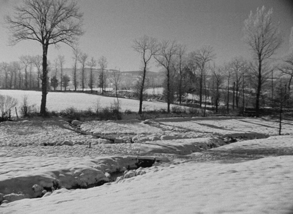 Farrebique ou les quatres saisons (Georges Rouquier, 1946) Farrebique ou les quatres saisons (Georges Rouquier, 1946)