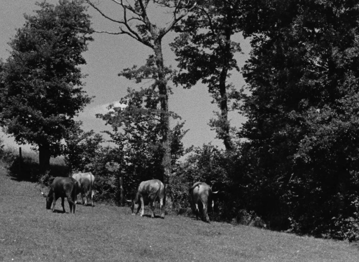 Farrebique ou les quatres saisons (Georges Rouquier, 1946) Farrebique ou les quatres saisons (Georges Rouquier, 1946)