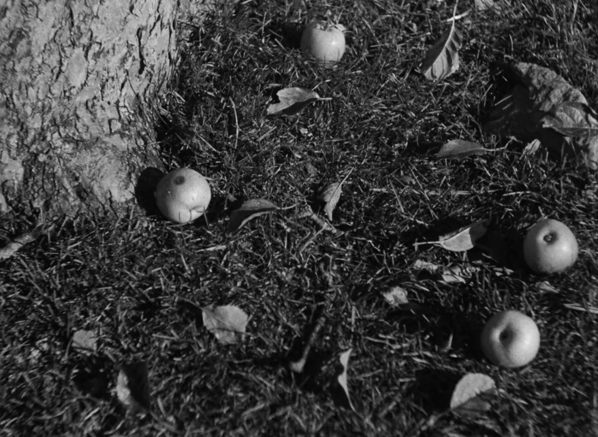 Farrebique ou les quatres saisons (Georges Rouquier, 1946) Farrebique ou les quatres saisons (Georges Rouquier, 1946)