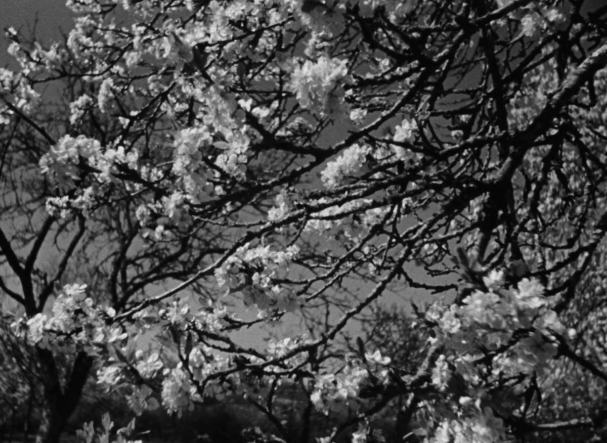 Farrebique ou les quatres saisons (Georges Rouquier, 1946) Farrebique ou les quatres saisons (Georges Rouquier, 1946)