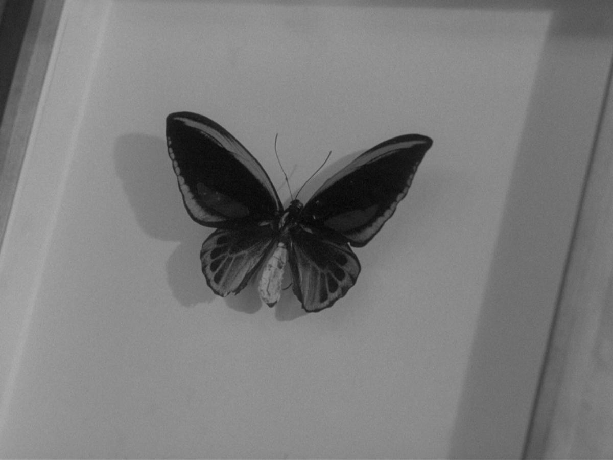 (2) Dimanche (Edmond Bernhard, 1963)