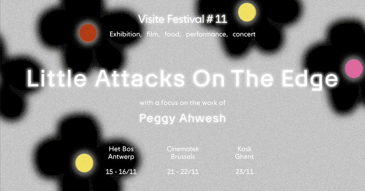 Banner Visite Film Festival #11
