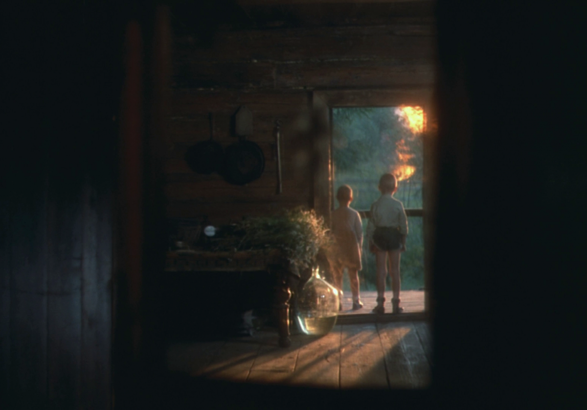 (2) Zerkalo [The Mirror] (Andrei Tarkovsky, 1975)