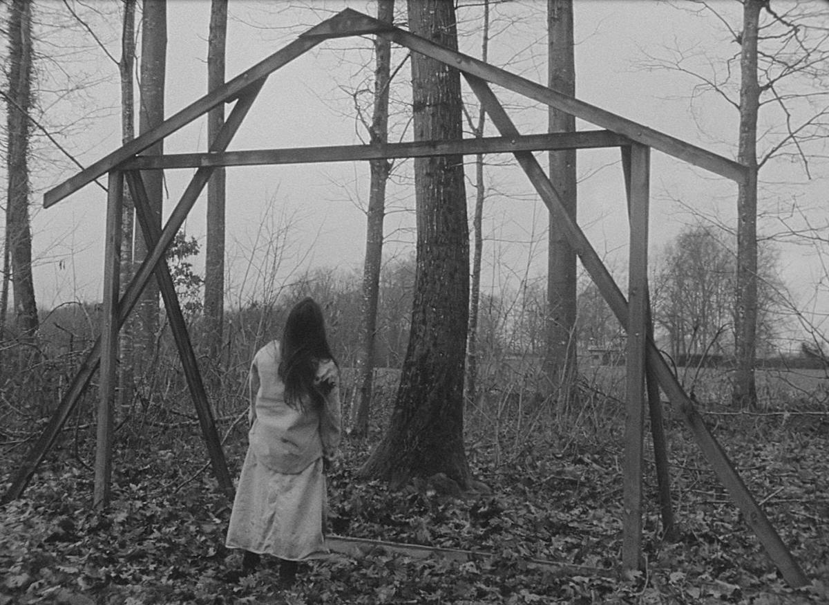 La force diagonale (Annik Leroy & Julie Morel, 2023)