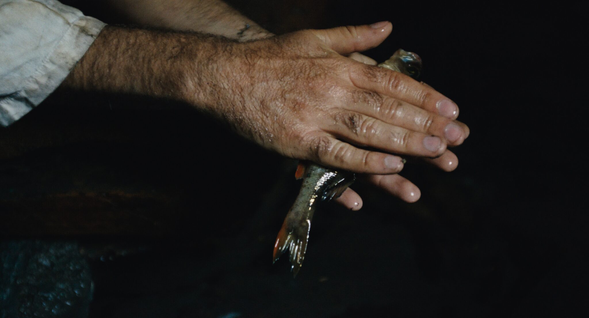 Camping du lac (Éléonore Saintagnan, 2023)