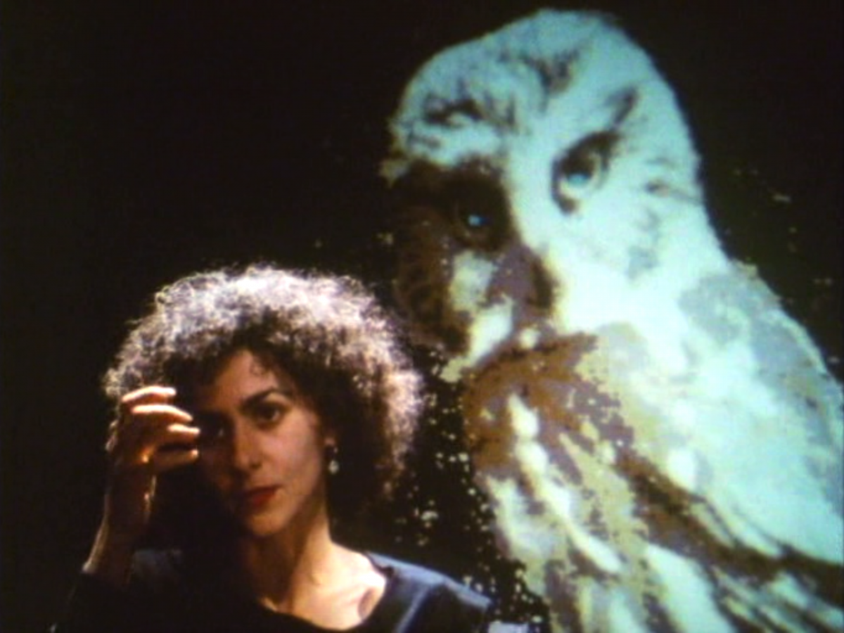 (6) L’héritage de la chouette (Chris Marker, 1989)