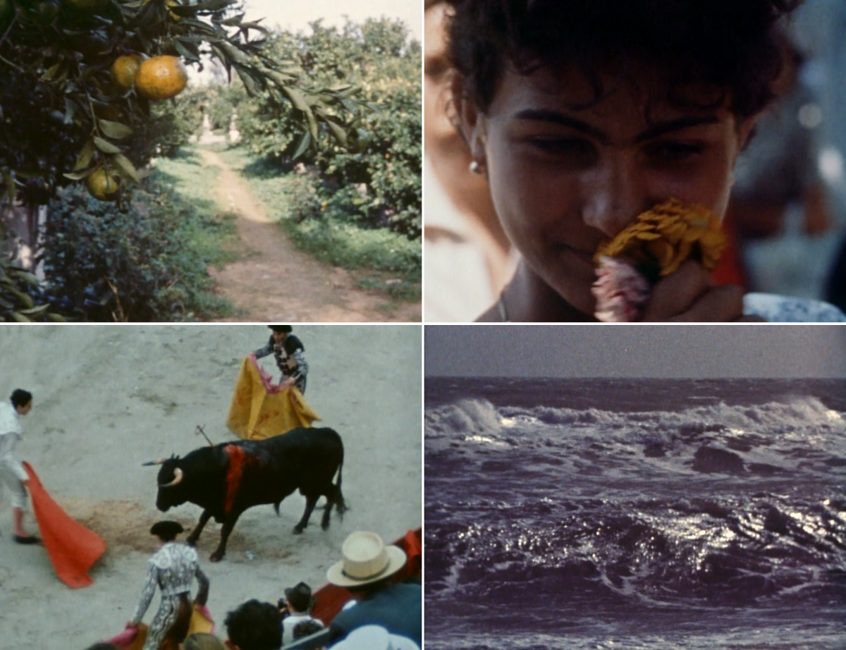 (2) Méditerranée (Jean-Daniel Pollet, 1963) (2) Méditerranée (Jean-Daniel Pollet, 1963)