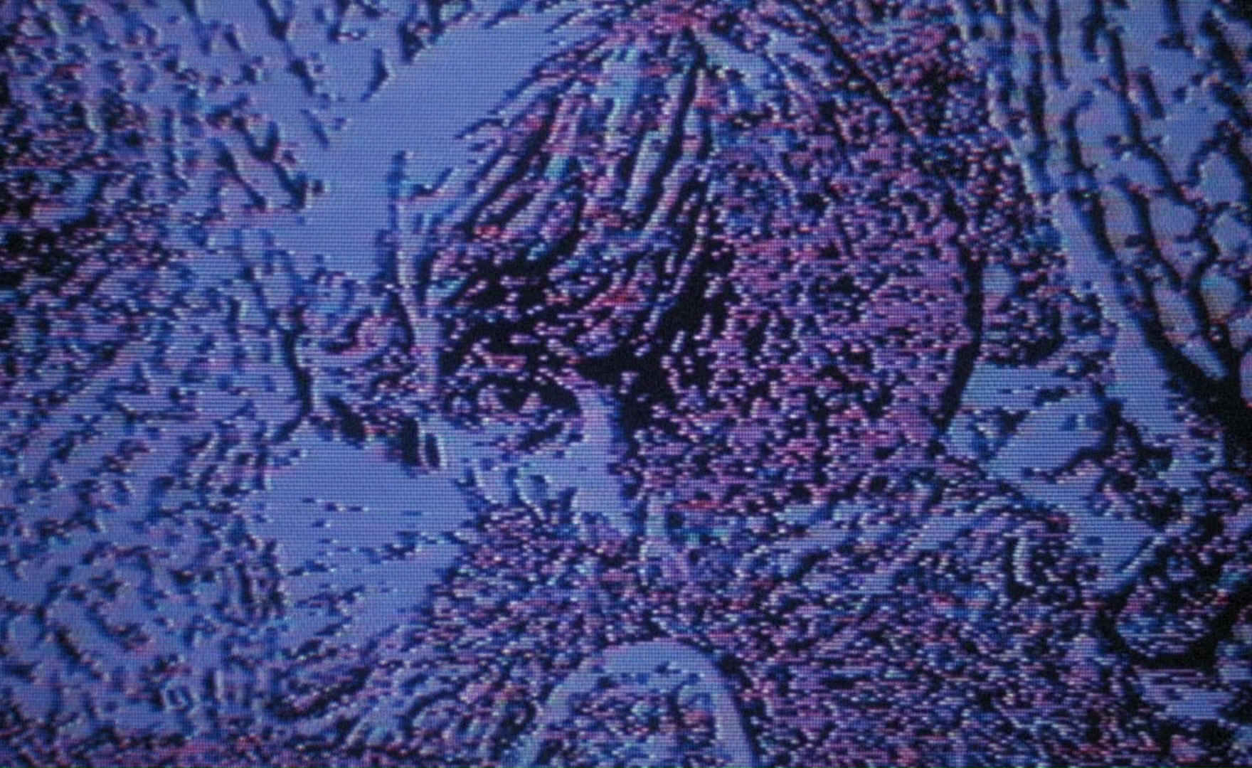 (5) Sans soleil (Chris Marker, 1983)