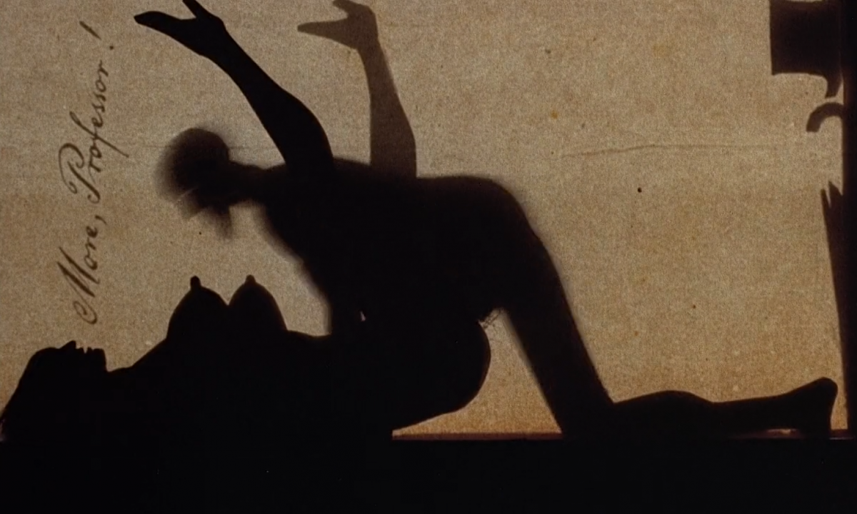 (1) Une collection particulière (Walerian Borowczyk, 1973) (1) Une collection particulière (Walerian Borowczyk, 1973)