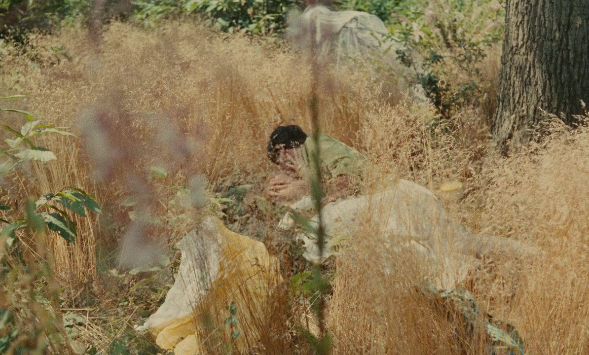 (2) Le bonheur (Agnès Varda, 1965) (2) Le bonheur (Agnès Varda, 1965)