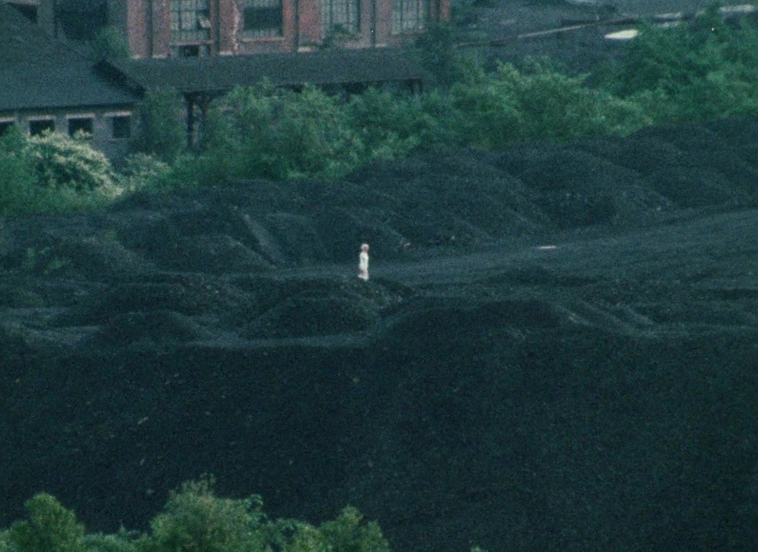 (1) Wanda (Barbara Loden, 1970)