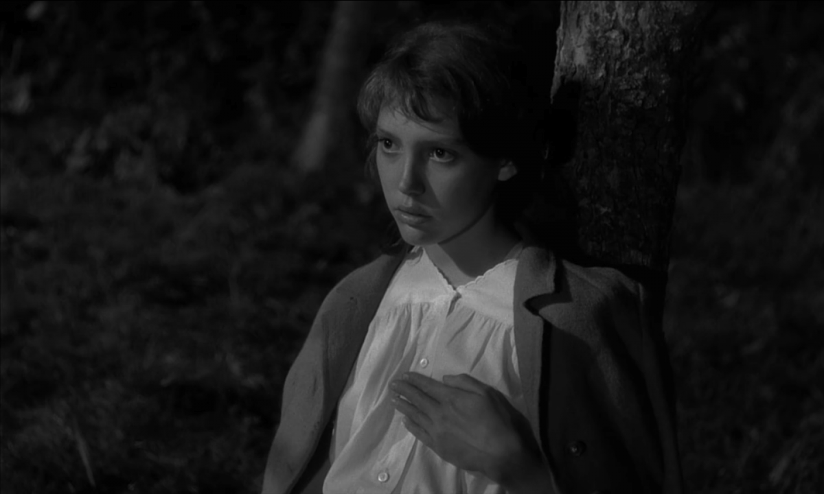 (4) Au hasard Balthazar (Robert Bresson, 1966) (4) Au hasard Balthazar (Robert Bresson, 1966)