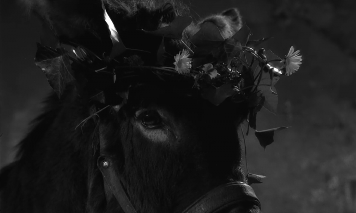 (5) Au hasard Balthazar (Robert Bresson, 1966) (5) Au hasard Balthazar (Robert Bresson, 1966)