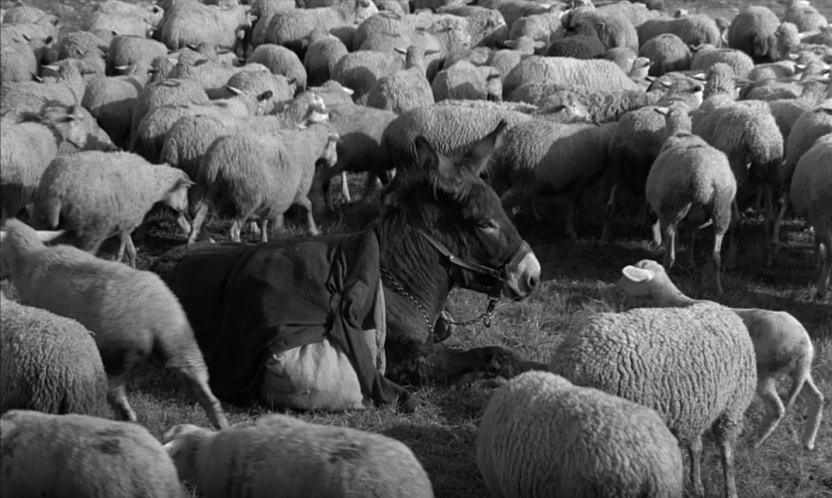 (6) Au hasard Balthazar (Robert Bresson, 1966) (6) Au hasard Balthazar (Robert Bresson, 1966)
