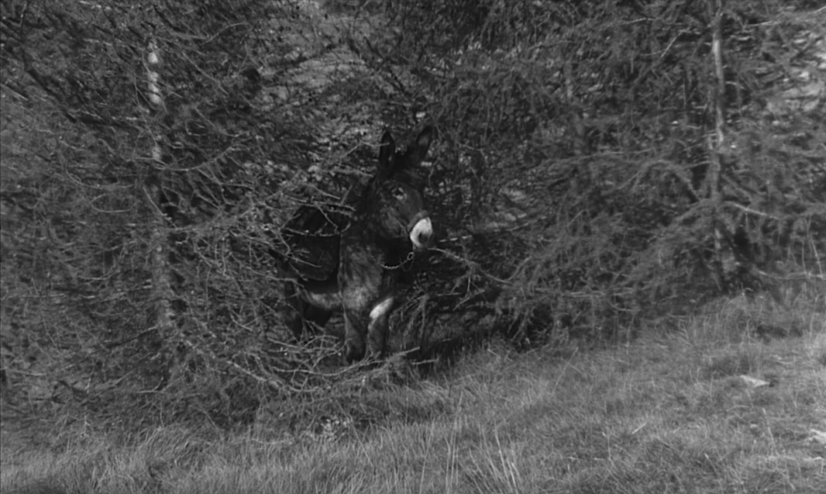 (7) Au hasard Balthazar (Robert Bresson, 1966) (7) Au hasard Balthazar (Robert Bresson, 1966)