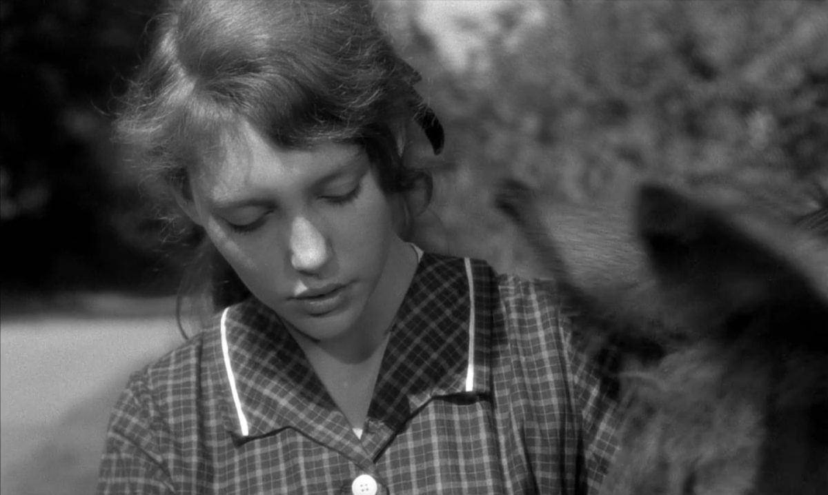 (9) Au hasard Balthazar (Robert Bresson, 1966) (9) Au hasard Balthazar (Robert Bresson, 1966)