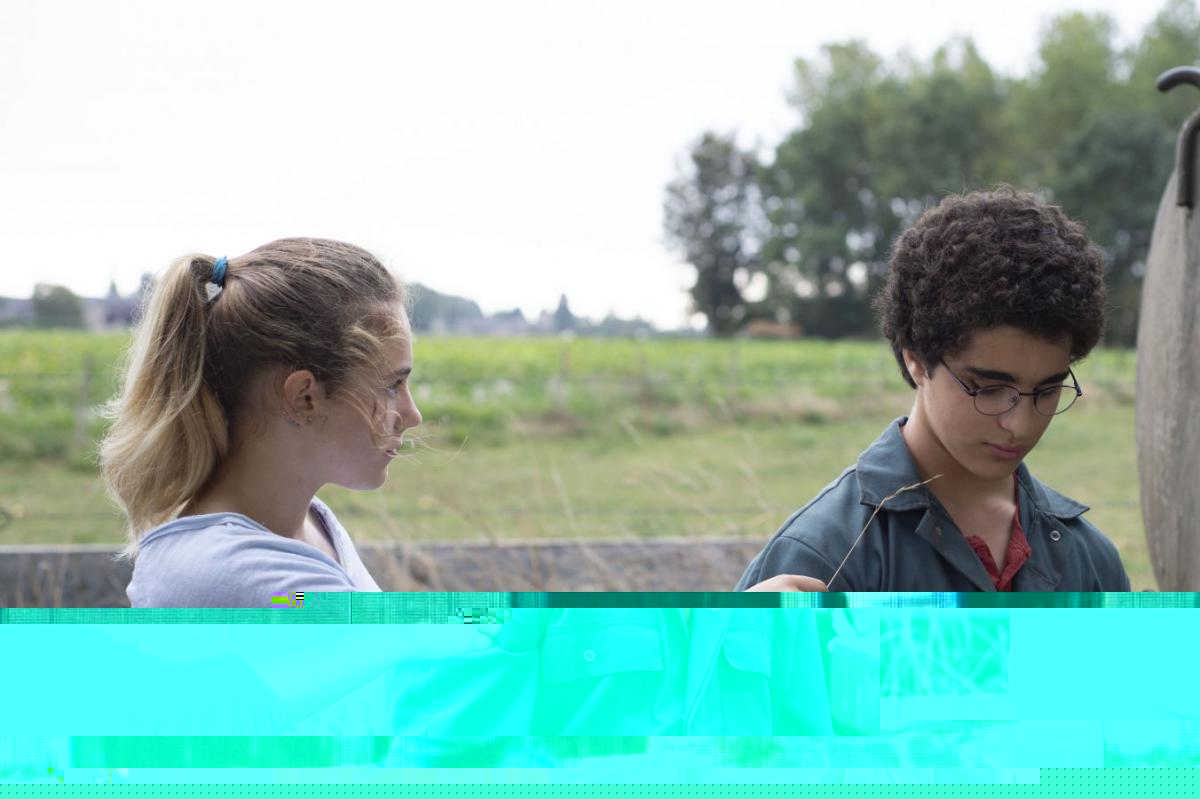 (5) 28 Rue Brichaut (Hannes Verhoustraete, 2013)