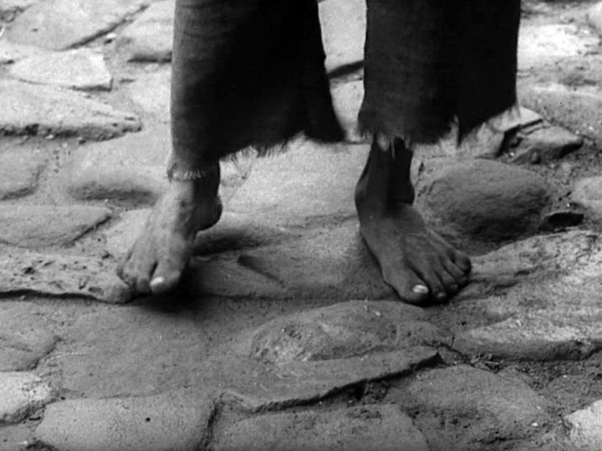 (3) Khaneh siah ast [The House is Black] (Forough Farrokhzad, 1963)
