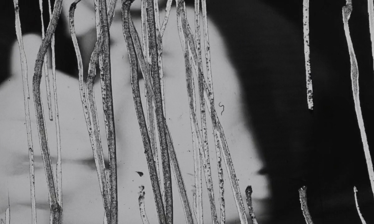 (2) Irma Vep (Olivier Assayas, 1996) (2) Irma Vep (Olivier Assayas, 1996)