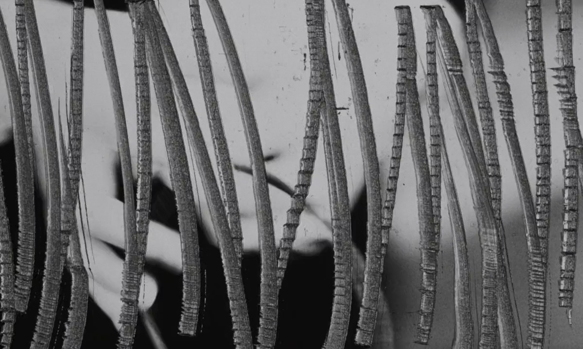 (7) Irma Vep (Olivier Assayas, 1996) (7) Irma Vep (Olivier Assayas, 1996)